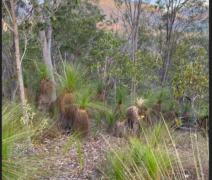 29 Hunter Street Mount Perry , QLD 4671 AUS